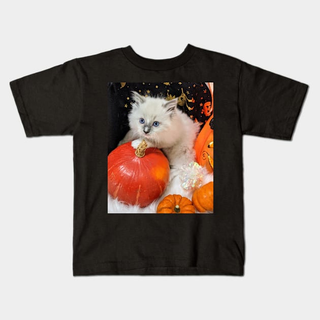 Halloween ragdoll kitten Kids T-Shirt by Fluffyragdollkittens